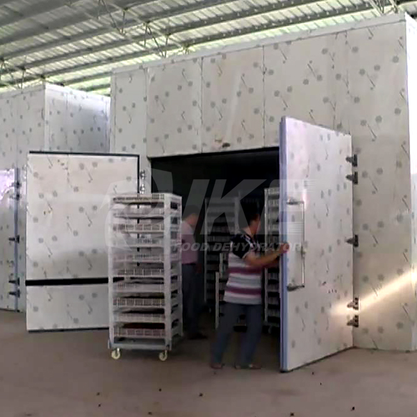IKE-Industrial Fruit Drying Machine Manufacture | Wrh-1200g High Temperature-1