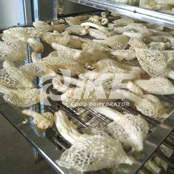IKE-News About Fruit And Vegetable Bamboo Fungus Drying Machine-1