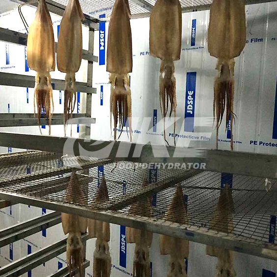 IKE-Vegetable Drying Equipment-choy Sum Drying Machine-1