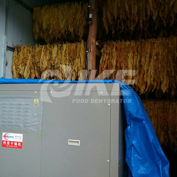 IKE-Tobacco Drying Machine - Ike Has Most Functional Food Dehydrator