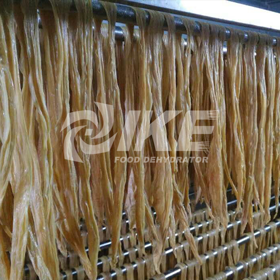 IKE-Read News About Bean Curd Stick Drying Machine News On Ike Food Dehydrator-1
