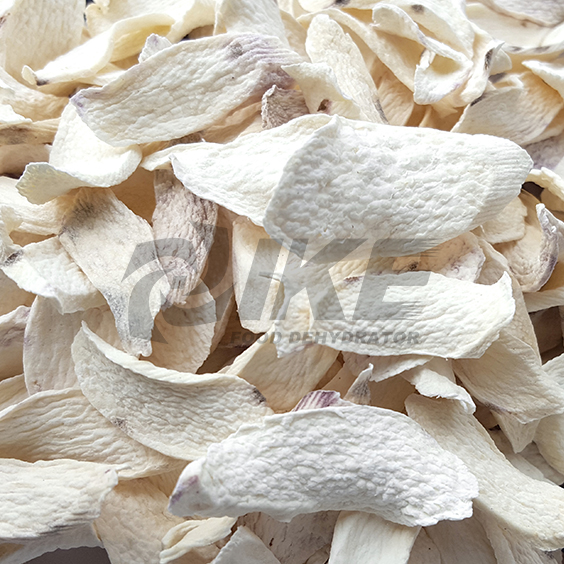 IKE-News About Chinese Yam Drying Machine, Astragalus Chinese Herb-1