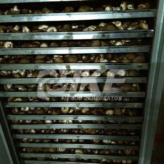 16 Layer Mushroom Drying Machine Meat Air Dried Dehydration