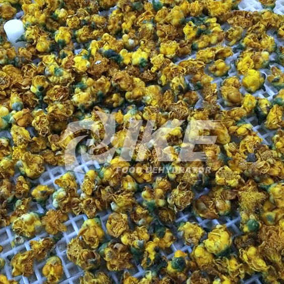 IKE-Golden Camellia Drying Machine, Hay Drying Machine, Flower Freeze Drying Machine-1