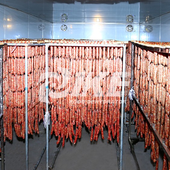 Sausage dryer hot sale machine