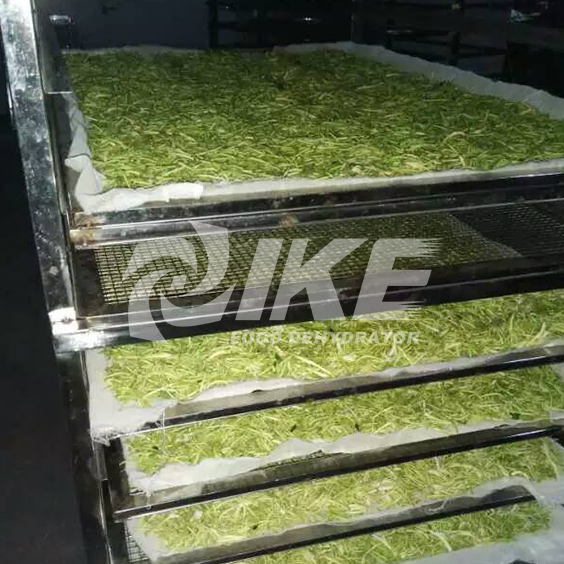 IKE-IKE Has Lonicera Japonica Drying Machine, Best Dehydrator