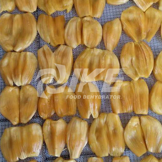 IKE-Jackfruit Drying Machine, Mango Drying Machine, Pineapple Drying Machine