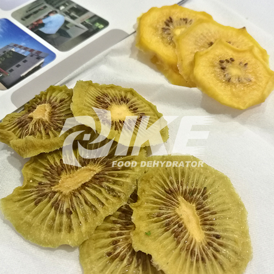 IKE-Looking For Lemon Drying Machine, Commercial Fruit Dehydrator-1