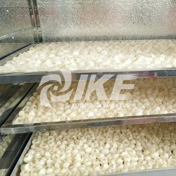 IKE-Click In News About Arillus Longan Drying Machine Drying Fruit In Oven