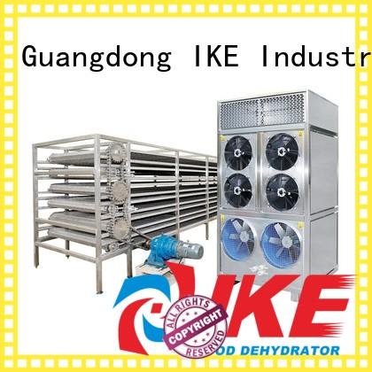 large food IKE Brand commercial food dryer machine factory