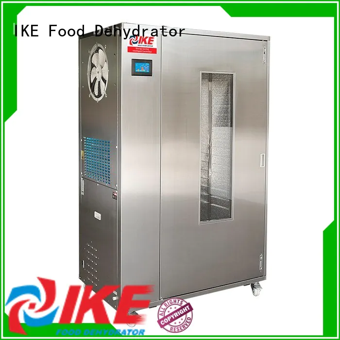 food-grade food drying machine multifunctional system for leave