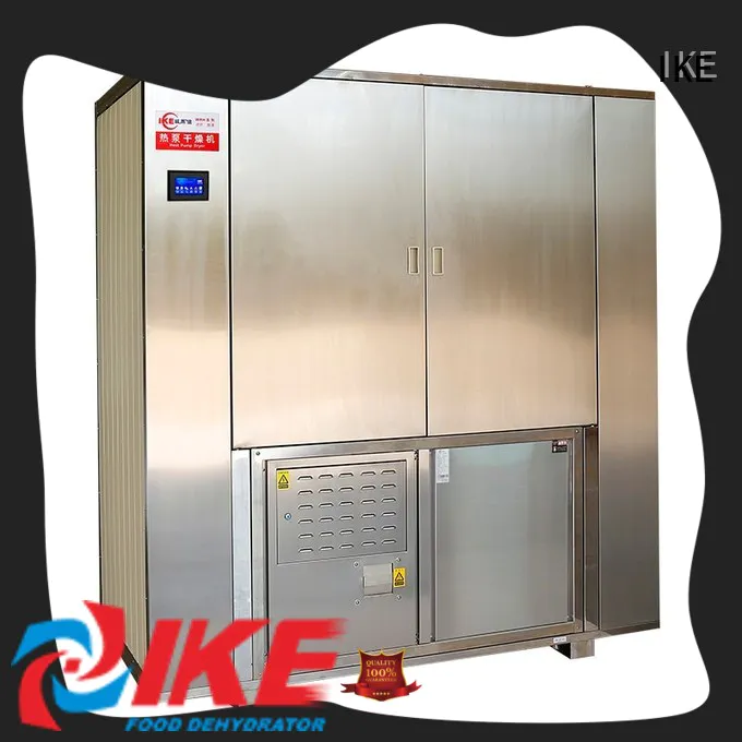IKE drying oven at discount