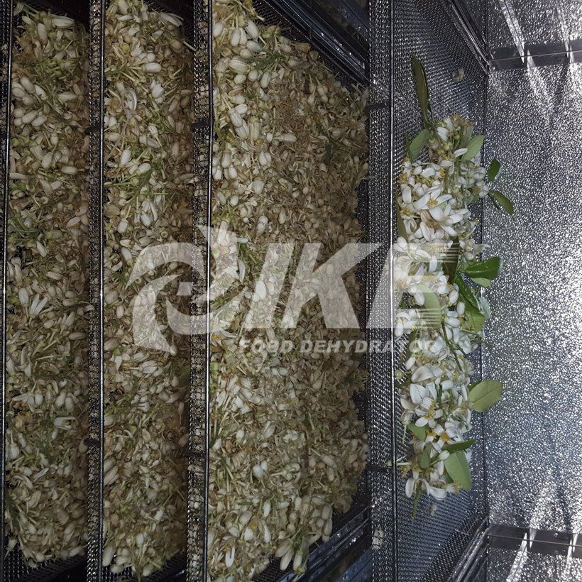 How many years of experience does have in producing vegetable dehydrator machine ?