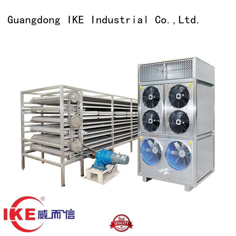 IKE conveyor drying line food dehydrator