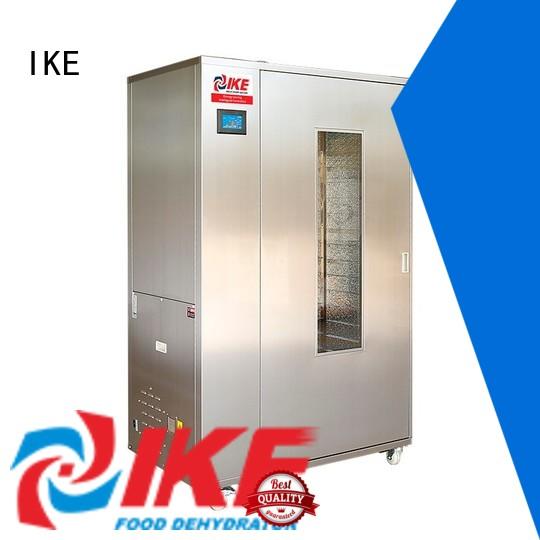 IKE electric cabinet dryer for food fruit