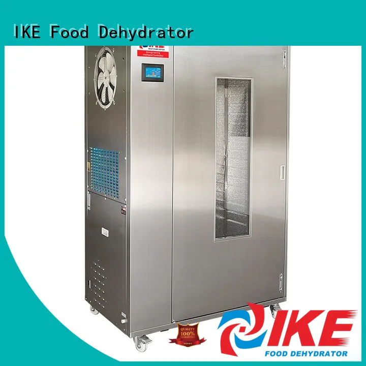 IKE oven drying oven stainless pump