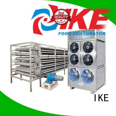 Wholesale conveyor drying line IKE Brand customized conveyor