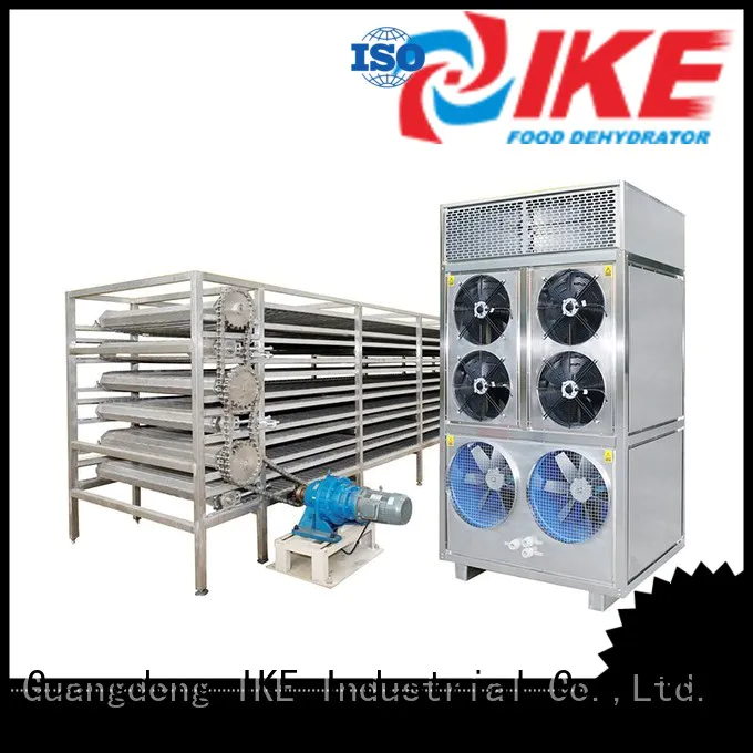 IKE stainless steel conveyor hot-sale for fruit