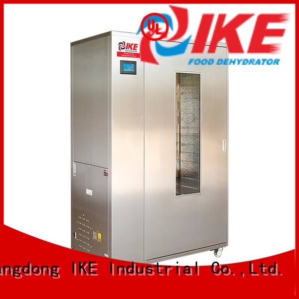IKE cheap food dehydrator stainless steel heat