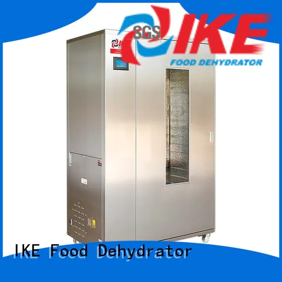 IKE meat dryer machine stainless steel pump