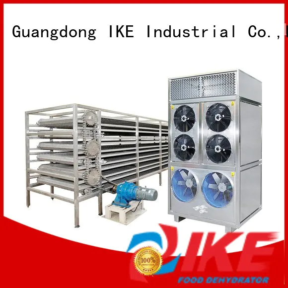 IKE drying line hot-sale for food