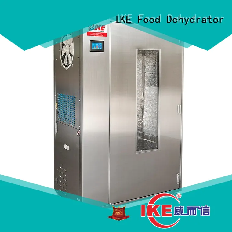 flower dehydrator machine for food leave heat IKE