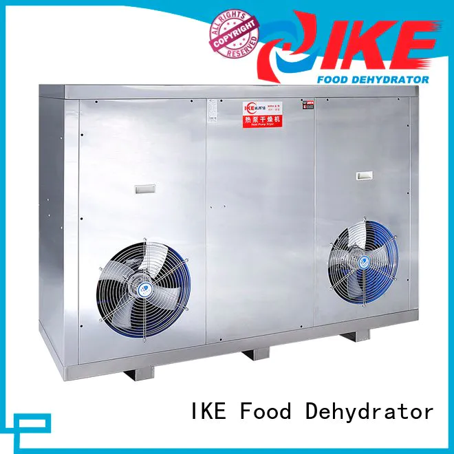 professional food dehydrator middle dehydrator machine IKE
