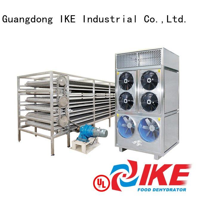 commercial food dryer machine food drying line IKE