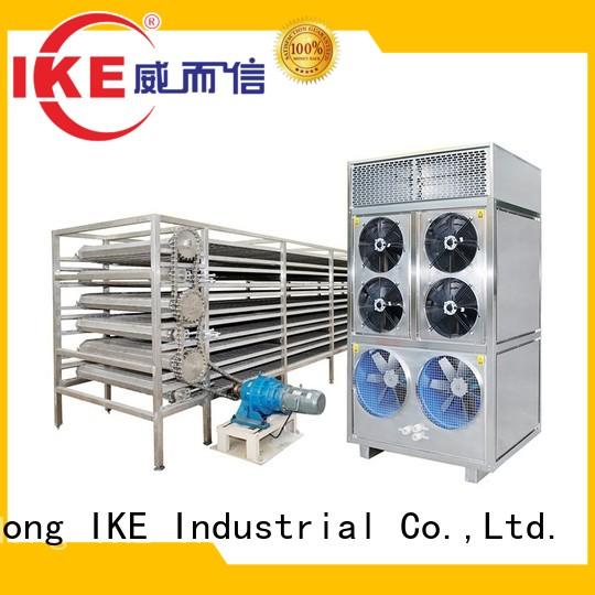 commercial food dryer machine dehydrator customized IKE Brand drying line
