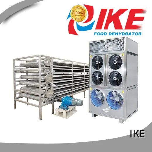 mesh food large IKE Brand drying line supplier