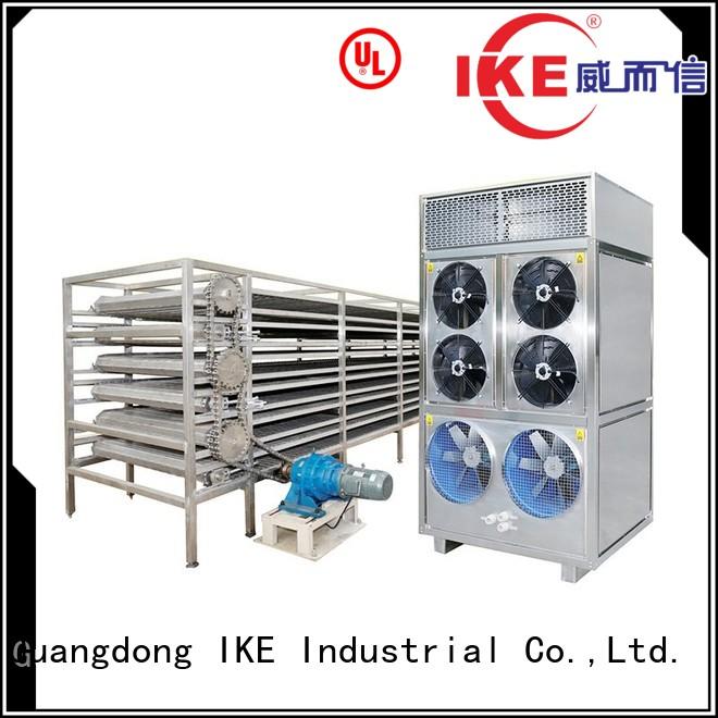 Hot drying line conveyor IKE Brand