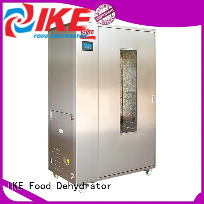 IKE drying oven multifunctional at discount
