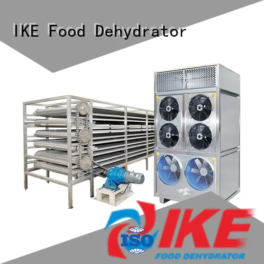 IKE on-sale conveyor belt manufacturers for food