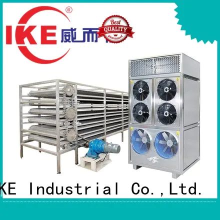 large dehydrator customized belt drying line IKE