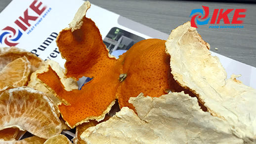 piel de naranja deshidratada deshidratada por el deshidratador de frutas IKE