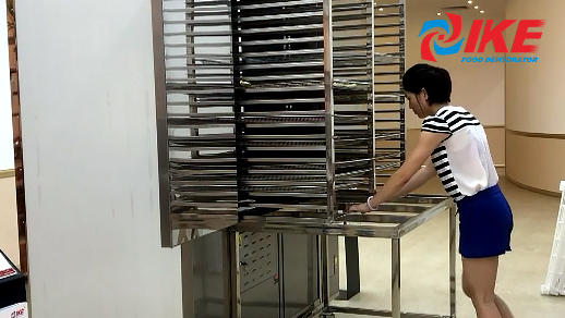 Operation Of WRH-300B Commercial Food Dehydrator