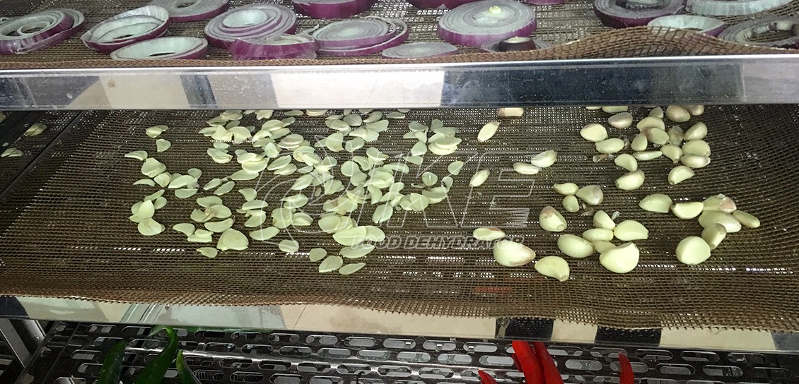 Raw Garlic Dehydrator Machine