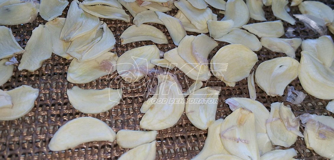 Raw Garlic Dehydrator Machine