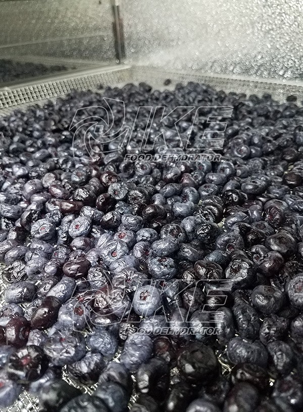 IKE-News About Blueberry Dehydrator