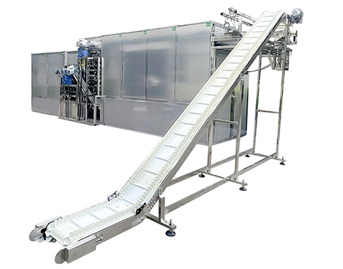 Customized Automatic Continuous Yardlong Bean Dehydrator