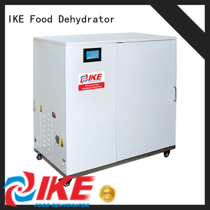 IKE large dehydrator stainless steel pump