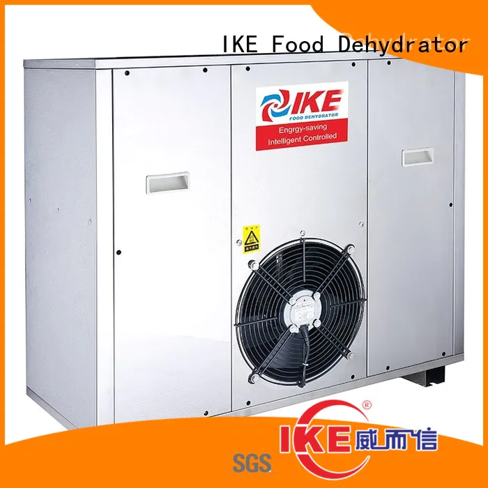 IKE drying commercial dryer sale fruit