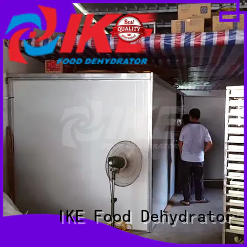 IKE commercial food dryer machine high-performance fruit