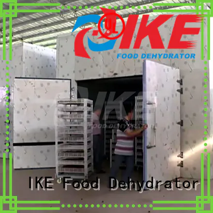 drying temperature dryer IKE Brand professional food dehydrator factory