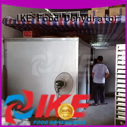IKE Brand sale commercial professional food dehydrator fruit supplier