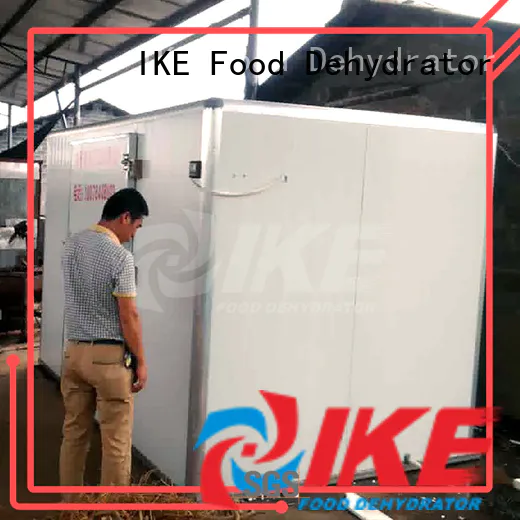 IKE commercial food dryer machine high-performance for food
