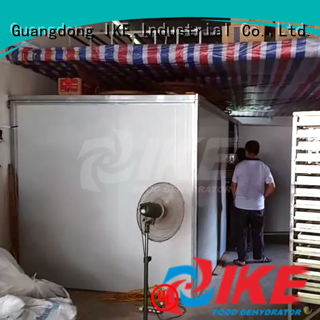 IKE commercial food dryer machine for dehydrating