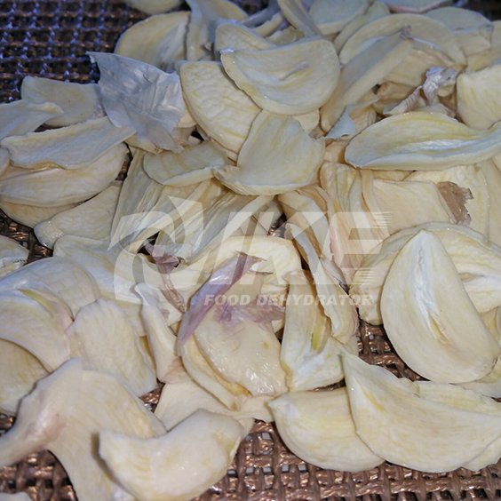 Raw Garlic Dehydrator Machine