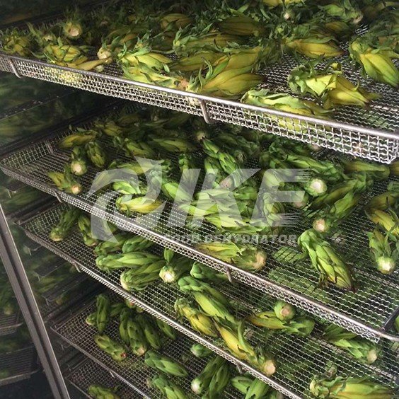 IKE-Pitaya Flower Drying Machine, Vegetable Dehydration Plant, Dehydrator For Fruits And Vegetables