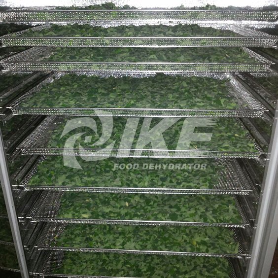 IKE-Vegetable Drying Equipment-choy Sum Drying Machine